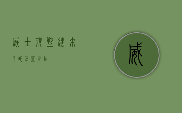 威士顿，塑造未来的力量之源