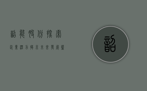 韶能股份，探索企业潜力，揭示未来发展蓝图