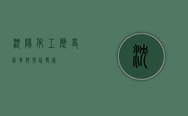 沈阳化工，历史沿革与现代发展