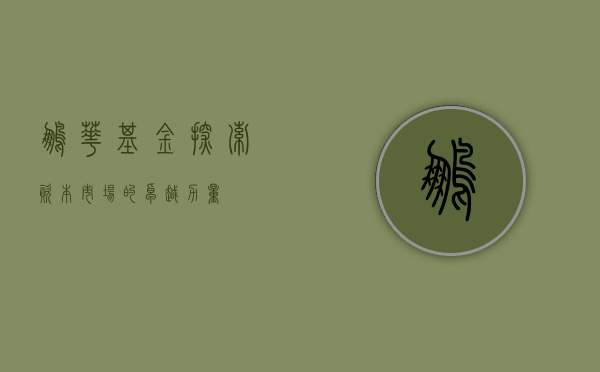 鹏华基金，探索资本市场的卓越力量