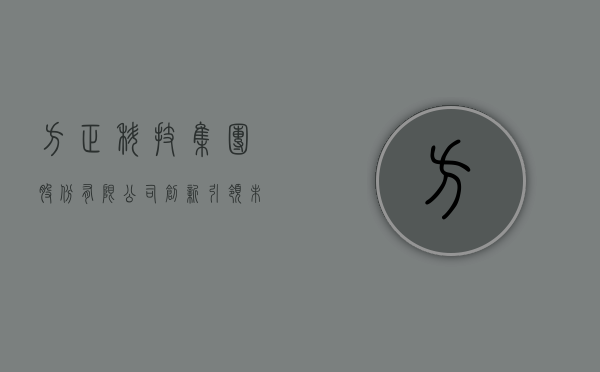 方正科技集团股份有限公司，创新引领未来，科技铸就辉煌