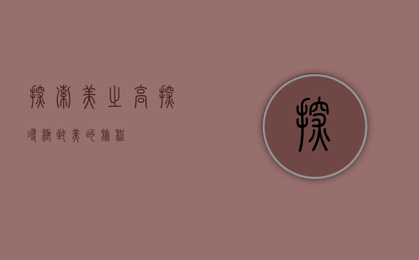 探索美之高，探寻极致美的旅程