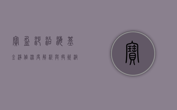 宝盈泛沿海基金净值，深度解析与前景展望