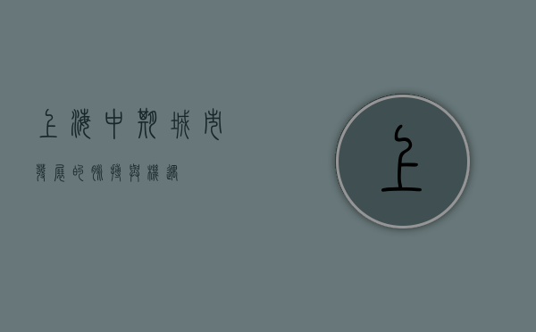 上海中期，城市发展的脉搏与机遇