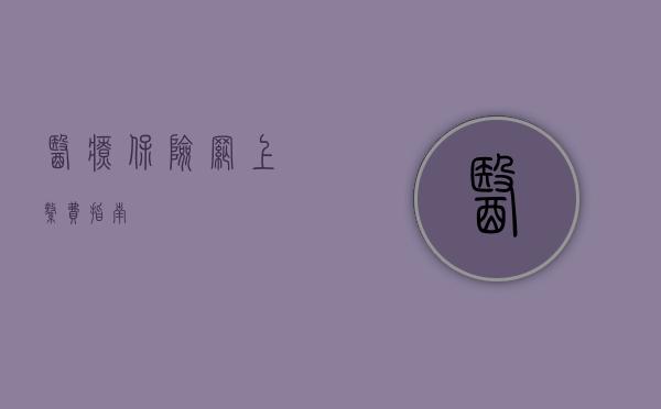 医疗保险网上缴费指南