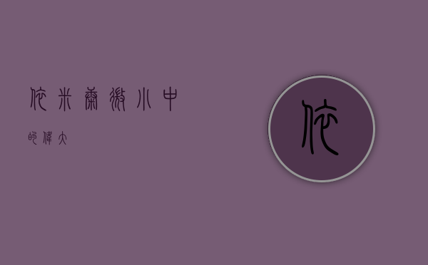 依米康，微小中的伟大