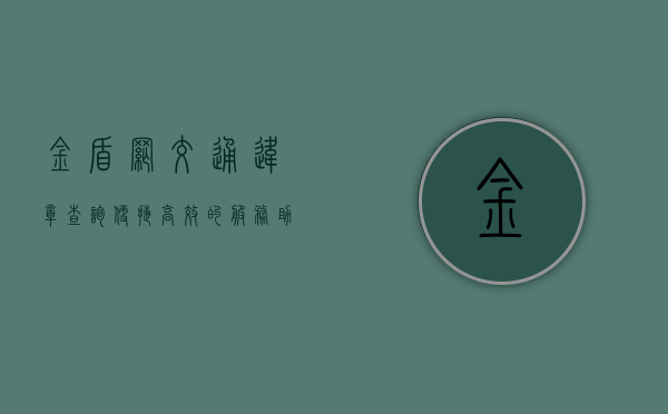 金盾网交通违章查询，便捷高效的服务助力交通安全