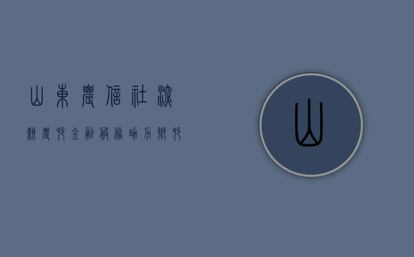 山东农信社，深耕农村金融服务，助力乡村振兴