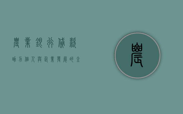 农业银行贷款，助力个人与企业发展的金融桥梁