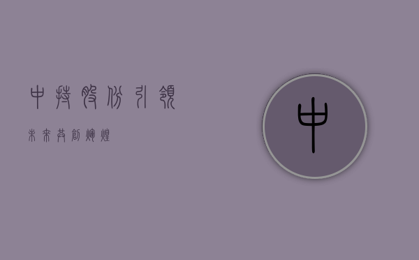 中持股份，引领未来，共创辉煌