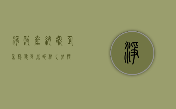 净资产总额，企业稳健发展的核心指标