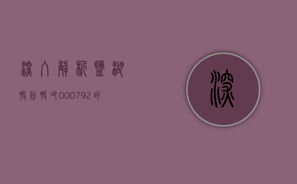 深入解析盐湖股份股吧，000792的潜力与挑战