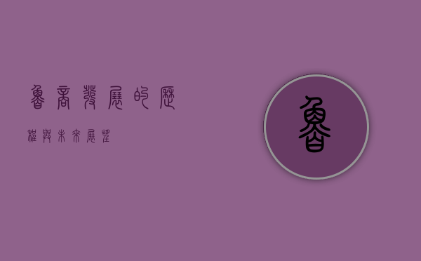 鲁商发展的历程与未来展望