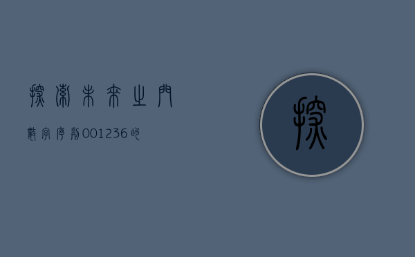 探索未来之门，数字序列001203的启示