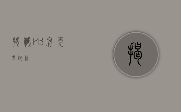 揭秘PB，究竟是何物？