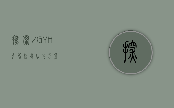 探索ZGYH，引领新时代的力量