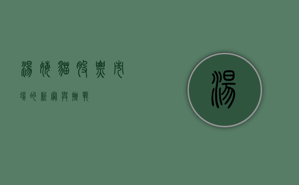 汤姆猫股票，市场的新宠与挑战
