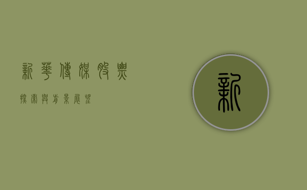 新华传媒股票，探索与前景展望