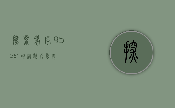 探索数字95561的奥秘与意义