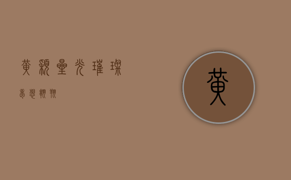 黄颖，星光璀璨，梦想翱翔