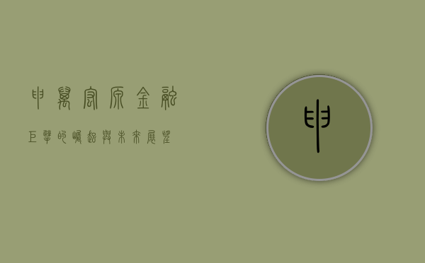 申万宏源，金融巨擘的崛起与未来展望