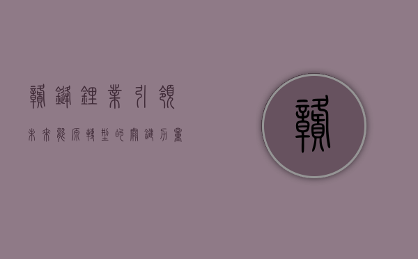 赣锋锂业，引领未来能源转型的关键力量