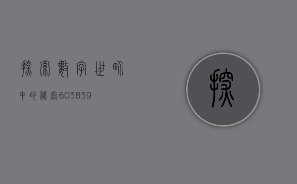 探索数字世界中的秘密，603173