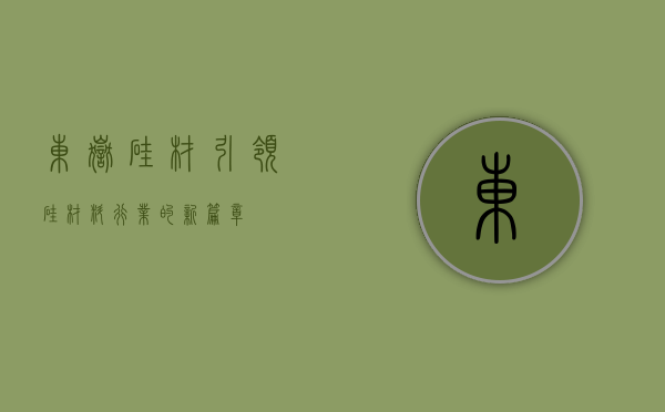 东岳硅材，引领硅材料行业的新篇章