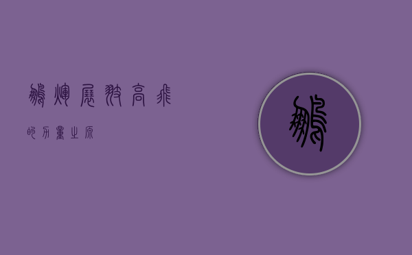鹏辉，展翅高飞的力量之源
