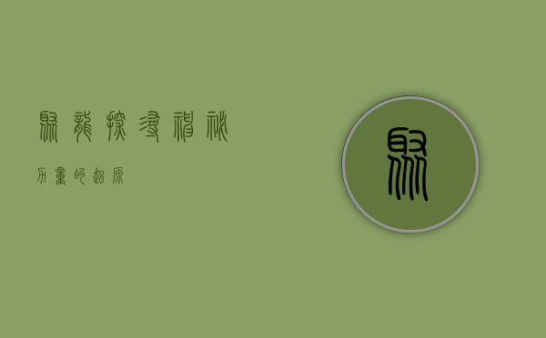 聚龙，探寻神秘力量的起源