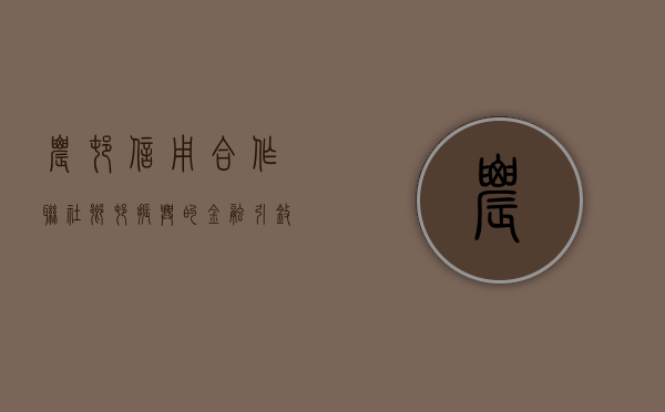 农村信用合作联社，乡村振兴的金融引擎