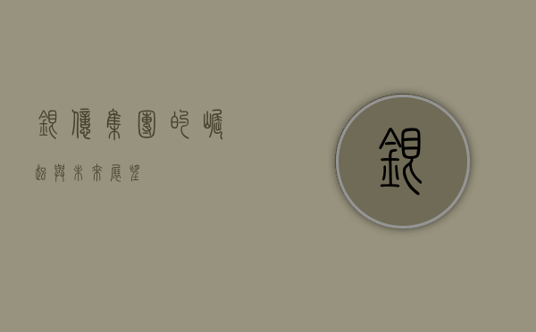 银亿集团的崛起与未来展望