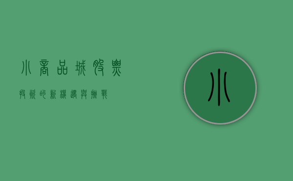 小商品城股票，投资的新机遇与挑战