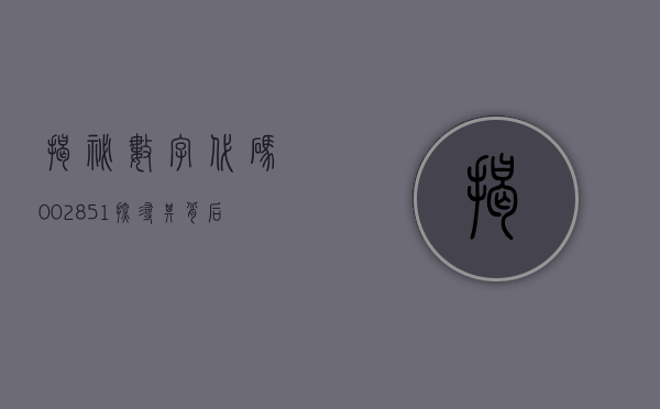 揭秘数字代码002851—探寻背后的故事与意义
