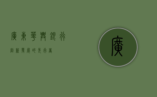 广东华兴银行，创新发展的先行者
