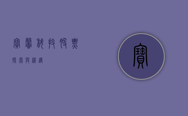 宝馨科技股票，探索与机遇