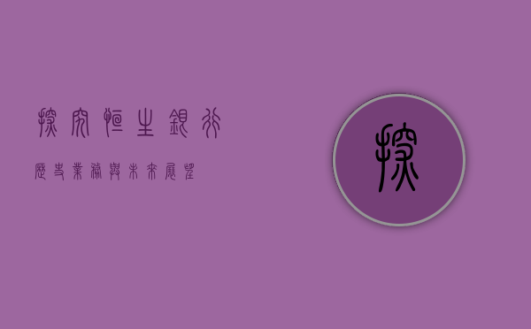 探究恒生银行，历史、业务与未来展望