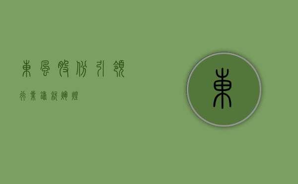 东风股份，引领行业，铸就辉煌