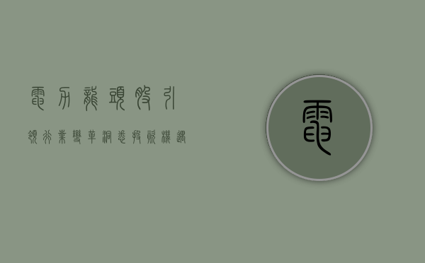 电力龙头股，引领行业变革，洞悉投资机遇