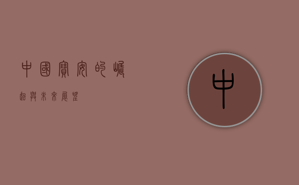 中国宝安的崛起与未来展望