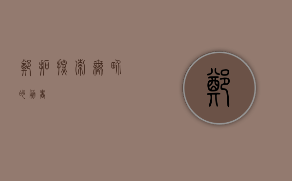 郑拓，探索无界的勇者