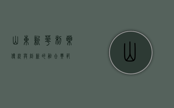 山东新华制药，传统与创新的融合典范