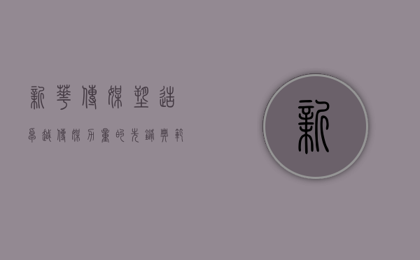 新华传媒，塑造卓越传媒力量的先锋典范