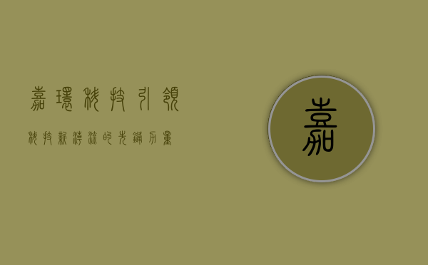 嘉环科技,引领科技新潮流的先锋力量
