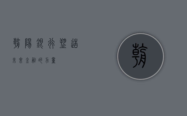 朝阳银行，塑造未来金融的力量