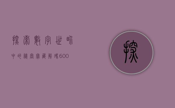 探索数字世界中的秘密宝藏—解码600285