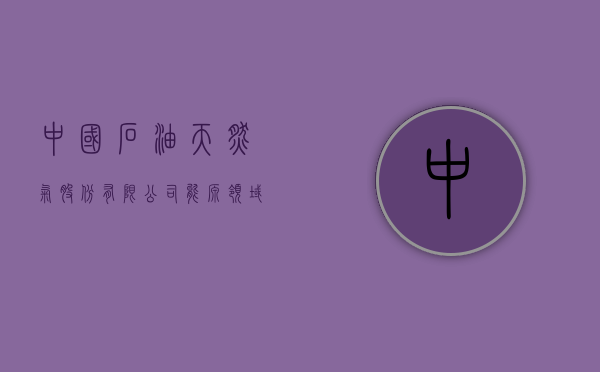 中国石油天然气股份有限公司，能源领域的领航者