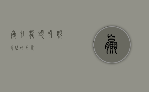 赢在龙头，引领时代的力量