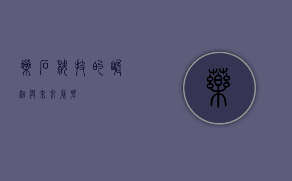 药石科技的崛起与未来展望