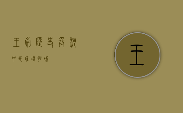 王崇，历史长河中的璀璨明珠